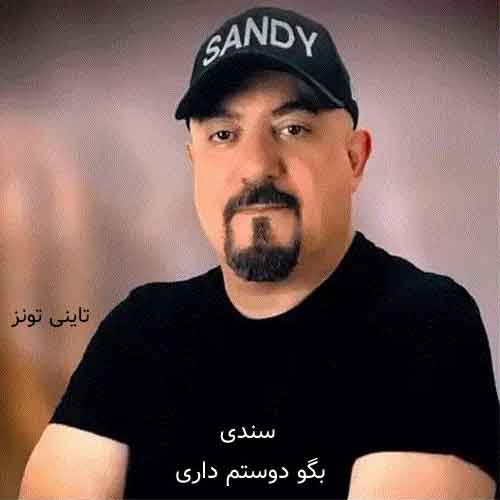 دانلود آهنگ بگو دوستم داری سندی
