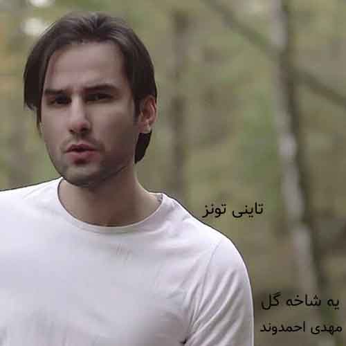 دانلود آهنگ یه شاخه گل مهدی احمدوند