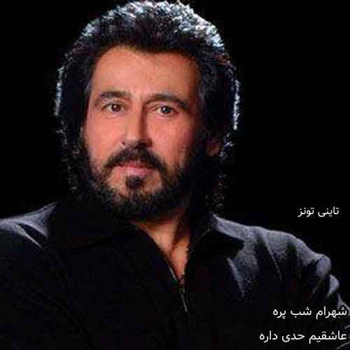 دانلود آهنگ عاشقیم حدی داره شهرام شب پره